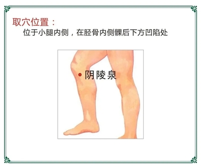 2.webp.jpg