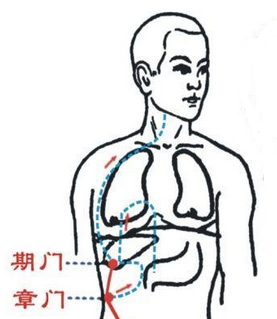 圣透灸14期门穴