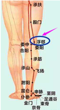 圣透灸-38浮郄穴fúxì