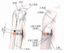 圣透灸-4侠白穴 北京灸一堂国医传承中医研究院