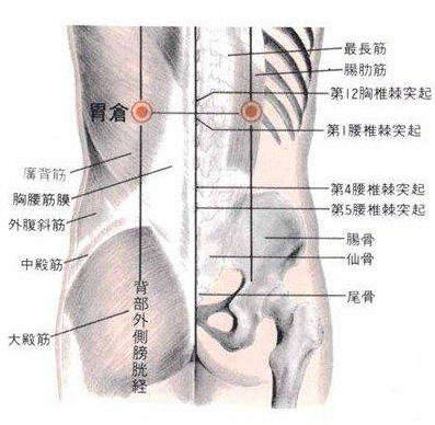 所属经络:足太阳膀胱经 定位: 在背部,当第12胸椎棘突下,旁开3寸.