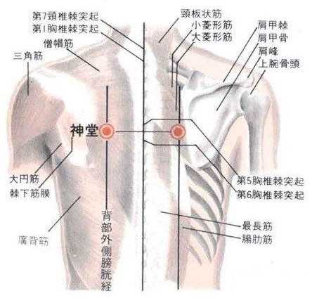 突起 胸椎 棘 脊柱のランドマーク（C7、Th2・3・7・12、S2)＋ヤコビー線＋α
