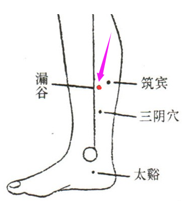 圣透灸-7漏谷穴