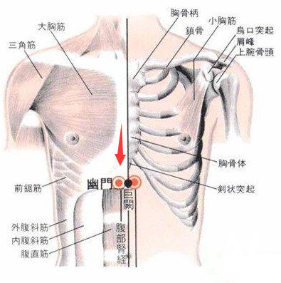 胸剑位置图片