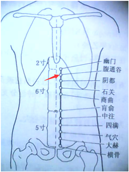 通骨的准确位置图片图片