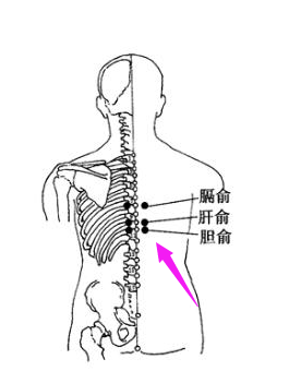 ②《马氏温灸法》 胆囊炎