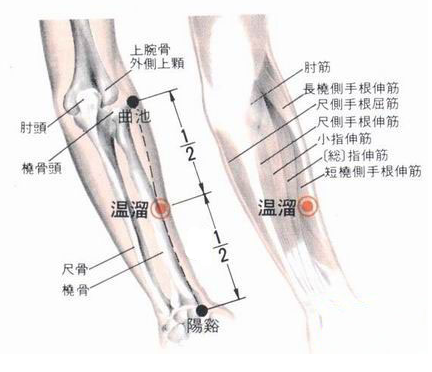 圣透灸7温溜穴