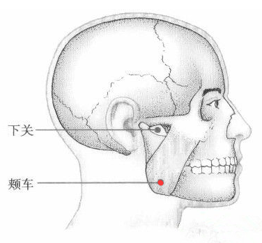 颞颌关节炎艾灸位置图图片