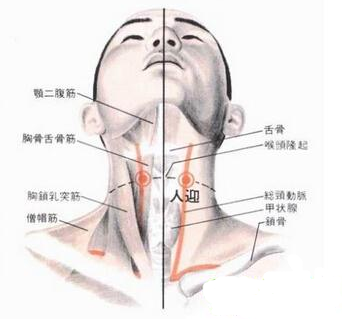 喉结旁边淋巴位置图图片