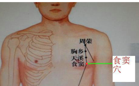 食窦的准确位置图作用图片