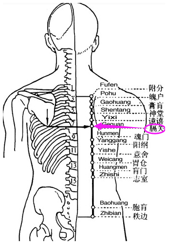 配內關主治呃逆;配秩邊,京骨主治背痛.