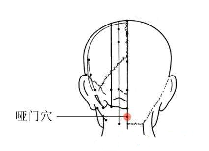 人体哑门的准确位置图图片