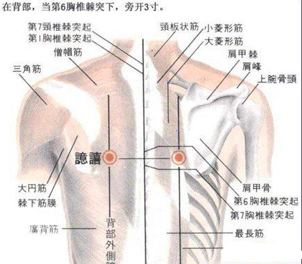 配定喘,膻中主治咳喘.