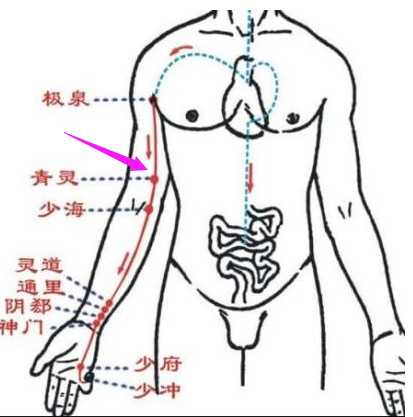 青灵的准确位置图作用图片